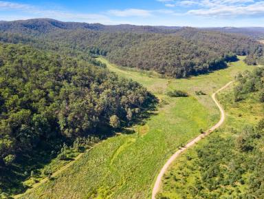 Residential Block For Sale - NSW - Putty - 2330 - Nature's Paradise with Biodiversity stewardship agreement  (Image 2)