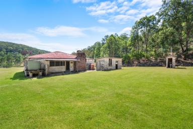 Residential Block For Sale - NSW - Garland Valley - 2330 - The Valley of Natural Splendour  (Image 2)