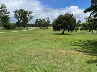 House Sold - QLD - Curra - 4570 - LOVELY COTTAGE ON PICTURE PERFECT 2.5 ACRES  (Image 2)