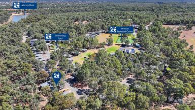 Villa For Sale - NSW - Moama - 2731 - Absolute River frontage - Superb Murray River Views
Individual Villa For Sale - Villa 60  (Image 2)