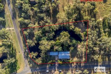 House For Sale - QLD - Hatton Vale - 4341 - Hidden Gem with own Tropical Rainforest Garden.  (Image 2)