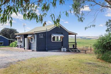 Lifestyle For Sale - VIC - Princetown - 3269 - RELAX OR GET INTO BUSINESS  (Image 2)