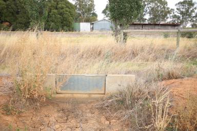 Cropping For Sale - VIC - Kotta - 3565 - IRRIGATION CROPPING OR OUT BLOCK  (Image 2)