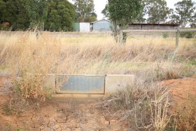 Cropping For Sale - VIC - Kotta - 3565 - EXCELLENT IRRIGATION CROPPING OR OUT BLOCK  (Image 2)