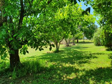 Residential Block For Sale - QLD - Yarraman - 4614 - Tranquil 2.5-Acre Property with Shed – Yarraman  (Image 2)