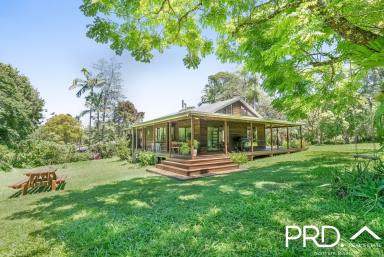 House For Sale - NSW - Nimbin - 2480 - The Ultimate Tree Change  (Image 2)