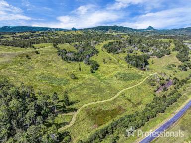 Other (Rural) For Sale - QLD - Coles Creek - 4570 - Amazing Grazing Intertwined With Nature  (Image 2)