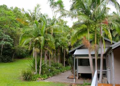 House Leased - NSW - Coorabell - 2479 - Byron Hinterland House  (Image 2)