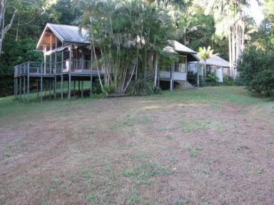 House Leased - NSW - Coorabell - 2479 - Byron Hinterland House  (Image 2)
