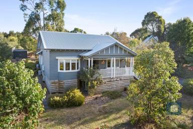 House Sold - VIC - Birregurra - 3242 - Discover Serenity and Style at 'Carnegie'...  (Image 2)