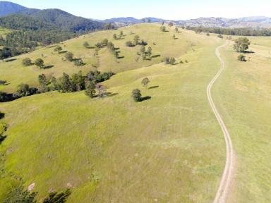 Other (Rural) For Sale - NSW - Gloucester - 2422 - "AKUNA" - Callaghans Creek Road, Bundook  (Image 2)