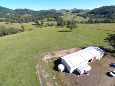 Other (Rural) For Sale - NSW - Gloucester - 2422 - "AKUNA" - Callaghans Creek Road, Bundook  (Image 2)
