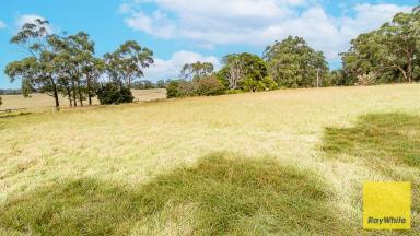 Lifestyle For Sale - VIC - Foster - 3960 - LIFESTYLE ACREAGE CLOSE TO TOWN  (Image 2)