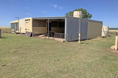 Mixed Farming For Sale - NSW - Narromine - 2821 - Minutes From Town  (Image 2)