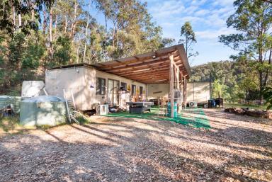 Residential Block For Sale - NSW - Putty - 2330 - Outdoor lifestyle retreat - bring the bikes!  (Image 2)