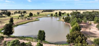 Mixed Farming For Sale - QLD - Meandarra - 4422 - Quality mixed-enterprise asset with excellent water security  (Image 2)