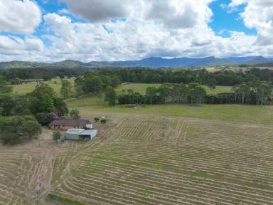 Acreage/Semi-rural For Sale - NSW - Cedar Party - 2429 - Quickly Jump on this!  (Image 2)