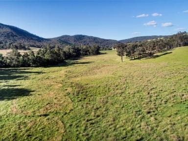 Other (Rural) For Sale - VIC - Ancona - 3715 - 130 Acres of Serenity, A Country Haven  (Image 2)