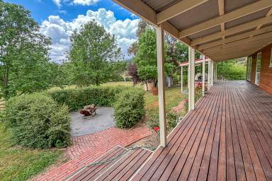 Lifestyle For Sale - VIC - Ancona - 3715 - 130 Acres of Serenity, A Country Haven  (Image 2)