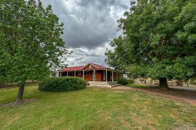 Lifestyle For Sale - VIC - Ancona - 3715 - 130 Acres of Serenity, A Country Haven  (Image 2)