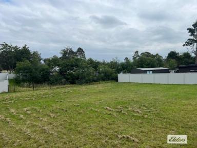 Residential Block For Sale - NSW - Kalaru - 2550 - Don't Pay High Rent, Build  (Image 2)