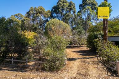 Residential Block For Sale - WA - Nannup - 6275 - 1,012 sqm of Nannup town land  (Image 2)