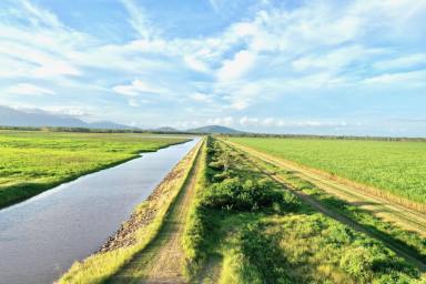 Other (Rural) For Sale - QLD - Upper Haughton - 4809 - 807 Acre Cropping Property - Burdekin Area - 2501mgltrs of Water  (Image 2)