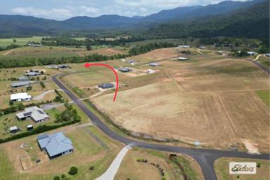 Residential Block For Sale - QLD - Feluga - 4854 - Titled and ready to buy now  (Image 2)