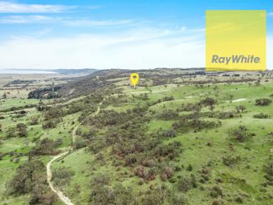 Lifestyle For Sale - NSW - Collector - 2581 - AMAZING VIEWS !!! 288 acres !!  (Image 2)