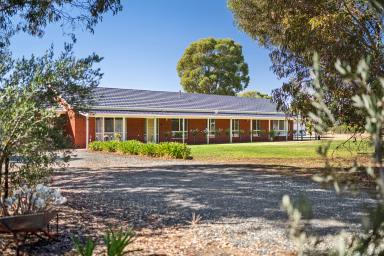House For Sale - VIC - Echuca - 3564 - SPACIOUS 5-BEDROOM BRICK RESIDENCE ON 2 ACRES EDGE OF ECHUCA  (Image 2)