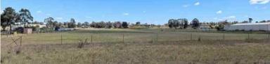 Land/Development For Sale - NSW - Bringelly - 2556 - PRIME DEVELOPMENT LAND IN HEART OF BRADFIELD AEROTROPOLIS CORE  (Image 2)