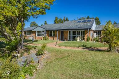Acreage/Semi-rural For Sale - NSW - Burrell Creek - 2429 - The Perfect Rural Retreat For A Family  (Image 2)