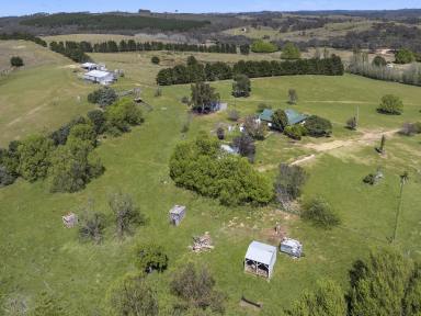 Livestock For Sale - NSW - Bevendale - 2581 - 970 Acres, Rolling Hills, 3 BR Homestead, Huge River Frontage, Perfect Sheep Grazing Property, Enormous Potential, 11 Parcels.  (Image 2)