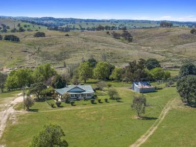 Livestock For Sale - NSW - Bevendale - 2581 - 970 Acres, Rolling Hills, 3 BR Homestead, Huge River Frontage, Perfect Sheep Grazing Property, Enormous Potential, 11 Parcels.  (Image 2)