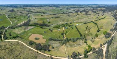 Livestock For Sale - NSW - Bevendale - 2581 - 970 Acres, 12 Lots, Rolling Hills, River Frontage,  Enormous Potential, 12 Lots, Dual Road Frontage.  (Image 2)