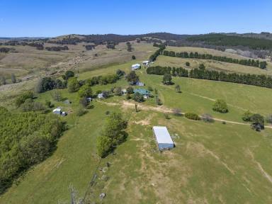 Livestock For Sale - NSW - Bevendale - 2581 - 970 Acres, 12 Lots, Rolling Hills, River Frontage,  Enormous Potential, 12 Lots, Dual Road Frontage.  (Image 2)