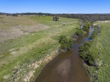 Livestock For Sale - NSW - Bevendale - 2581 - “ Lachlan Run” 970 Acres, Rolling Hills, River Frontage,  Enormous Potential, Dams, Dual Road Frontage, 12 Parcels.  (Image 2)