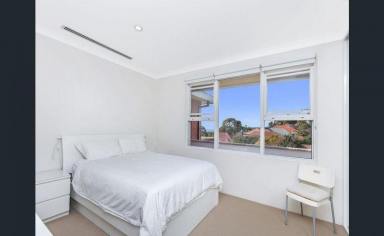 Apartment Leased - NSW - Randwick - 2031 - Light and Bright Apartmenet Available April 29th  (Image 2)
