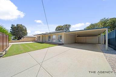 House For Sale - WA - Forrestfield - 6058 - HOLY SHED!!!  (Image 2)