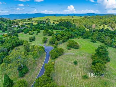 Residential Block For Sale - QLD - Ocean View - 4521 - 5 Acres with Original Dairy Shed  (Image 2)