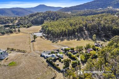 House For Sale - TAS - Mountain River - 7109 - Captivating 1921 Weatherboard Gem  (Image 2)