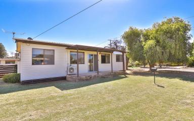 House For Sale - VIC - Red Cliffs - 3496 - LOW MAINTENANCE & CENTRALLY LOCATED  (Image 2)