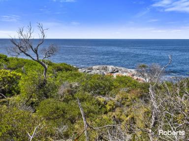 Residential Block For Sale - TAS - Seymour - 7215 - Seclusion  (Image 2)