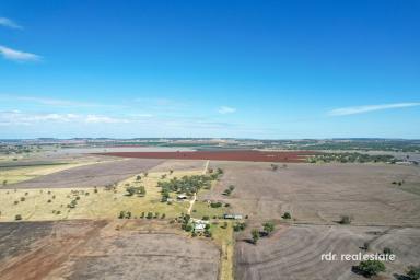 Mixed Farming For Sale - NSW - Inverell - 2360 - WILLIRIE  (Image 2)