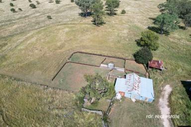 Mixed Farming For Sale - NSW - Inverell - 2360 - WILLIRIE  (Image 2)