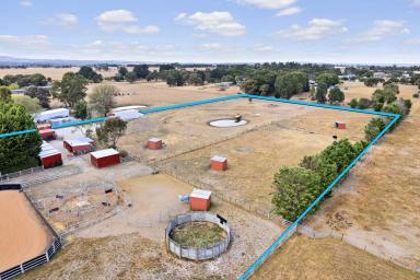 Acreage/Semi-rural For Sale - VIC - Ross Creek - 3351 - A Horse Lovers Dream With No Expense Spared  (Image 2)