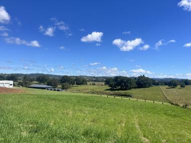Residential Block For Sale - NSW - Kyogle - 2474 - DREAM PARCEL OF LAND  (Image 2)