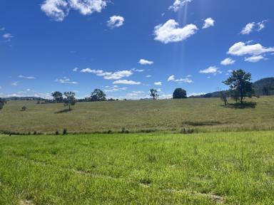Residential Block For Sale - NSW - Kyogle - 2474 - DREAM PARCEL OF LAND  (Image 2)
