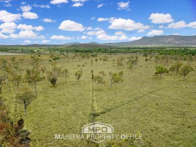 Mixed Farming For Sale - QLD - Mutchilba - 4872 - FARMING VENTURE WITH EXTRAS  (Image 2)