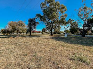 Residential Block For Sale - VIC - Kerang - 3579 - Land for Sale in Kerang  (Image 2)